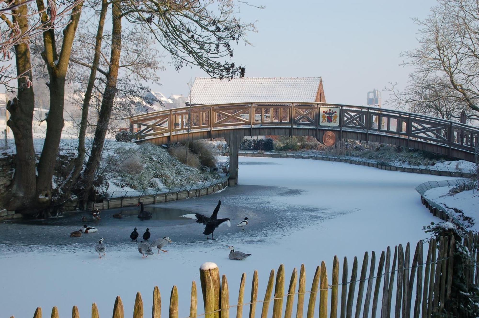 B&B De Rentmeesterhoeve Reningelst Exteriér fotografie